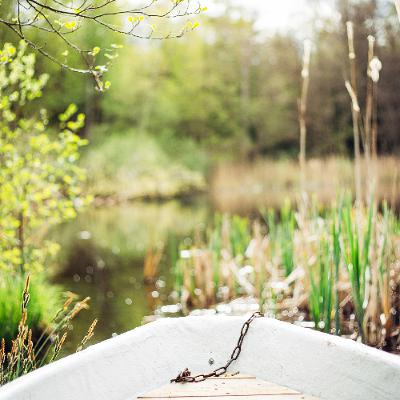 חד הקרן המצחיקה ביותר ביער 🦄
