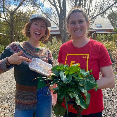 The Felt Sense of Success with Laura Jean