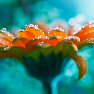 Ambient: Lucid Space Ambient: Lucid Space