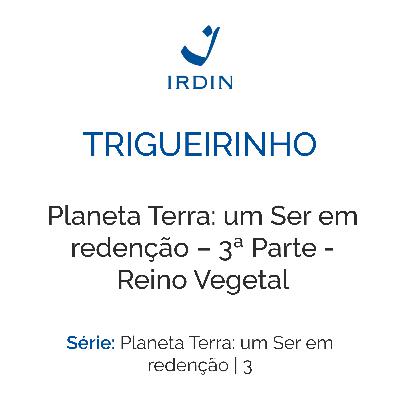 Planeta Terra: um Ser em redenção – 3ª Parte - Reino Vegetal