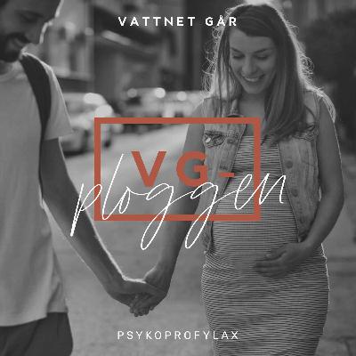 465. VG-ploggen: Profylax - vad är det?