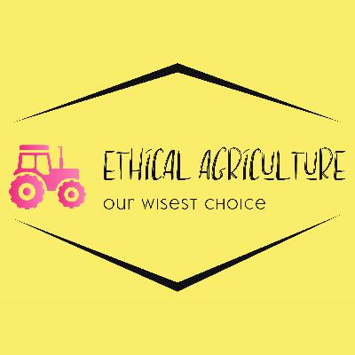 Jeff Senger - Sangudo Growers Coop -Part 1