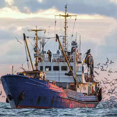113. Combating Illegal Fishing