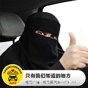 糖蒜爱汽车：只有我们知道的地方
