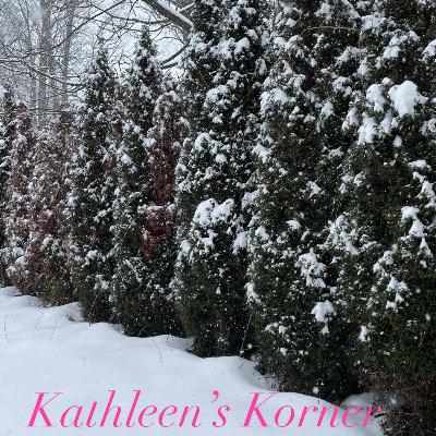 Cold & Snowy OR Cold & Rainy