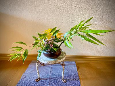 葉っぱは何色？　“まぜさし”について from Radiotalk