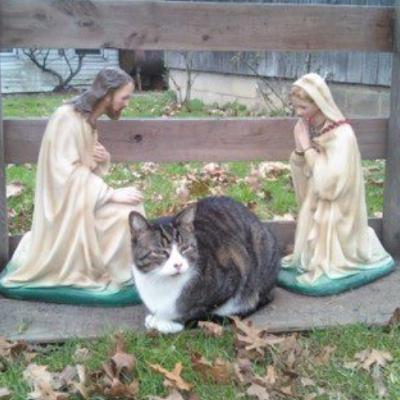 Love Button - They Think I'm Jesus