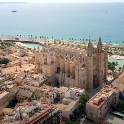 Capítulo 550, Viajar a Palma, es maravilloso.