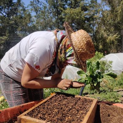 Programa 196. Semillas de la vida digna: experiencias de juventudes campesinas e indígenas