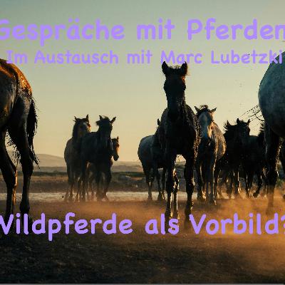 #43 Wildpferde als Vorbild für unsere Kommunikation?