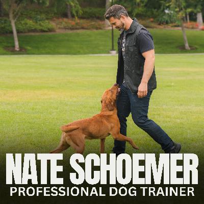 Ep. 18 - Dog Training Q&A: Ask Nate Schoemer Anything About Your Dog