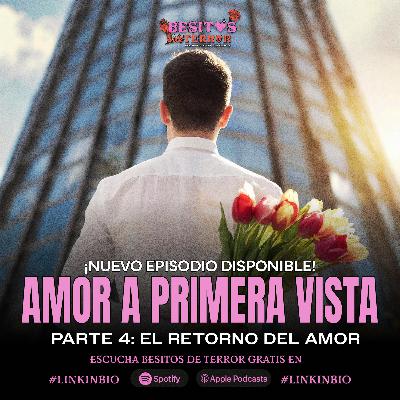 Amor a Primera Vista: El Retorno del Amor Amor a Primera Vista: El Retorno del Amor