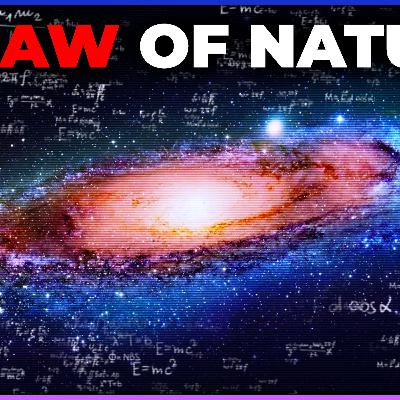[Interview+] Complexity As a Driving Force of the Universe