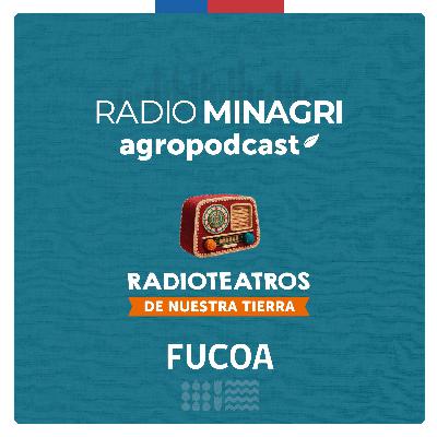Radioteatros de Nuestra Tierra – Episodio 6: Huellas en el paso de los chanchos Radioteatros de Nuestra Tierra – Episodio 6: Huellas en el paso de los chanchos