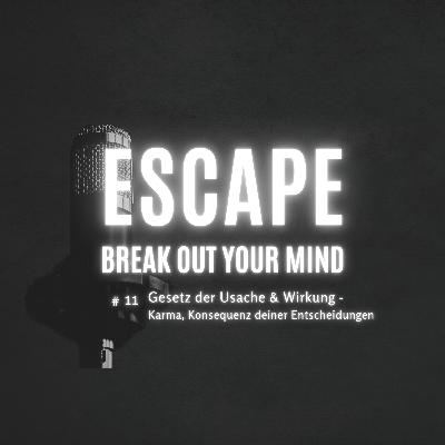#11 Gesetz der Ursache & Wirkung - Karma, die Konsequenzen deiner Entscheidungen