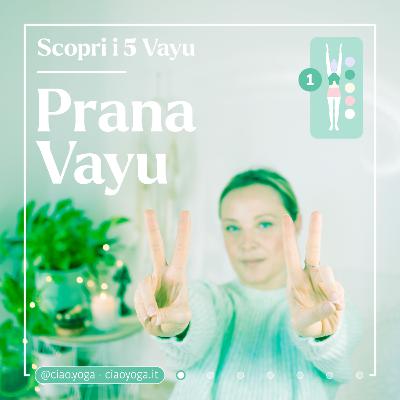 PRANA VAYU: meditazione per riequilibrarlo!
