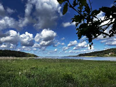 430. Som ett moln i en siluett