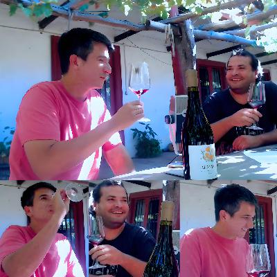IX Capítulo Asociatividad y Vinos