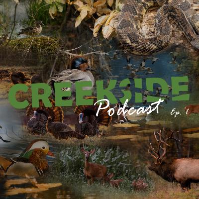 Ep. 1 Jack of all, Master of None.