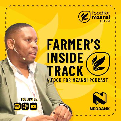 Inside Limpopo’s farming transformation: Subtrop & Nedbank’s impact