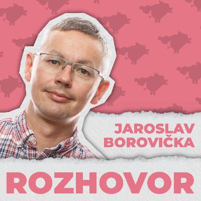 EURO vs KORUNA očima ekonoma Jaroslava Borovičky