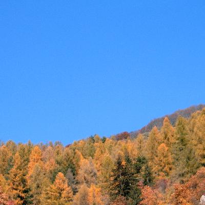 Carducci, la poetica e le opere