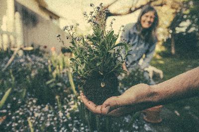 Giving We Receive, Grasping we lose, part IV: Thanksgiving