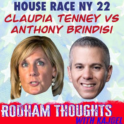 Battle For The House 2018 - New York 22nd (NY - 22)
