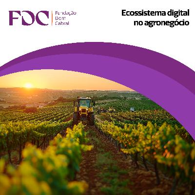 Ecossistemas digitais no agro
