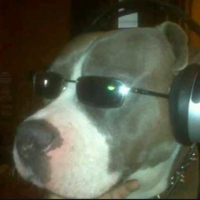 Episode #322: BONUS!! BIRD DAYZ!!