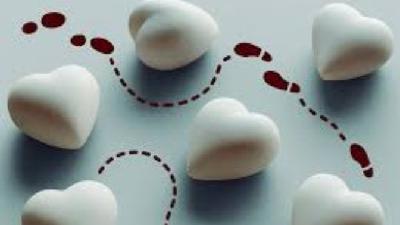 Pilar Sagaste, coordinadora El Cierzo Pilar Sagaste, coordinadora El Cierzo