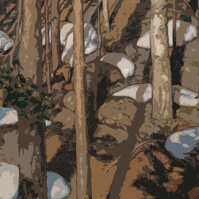 Kalevala – et verdensklasseværk