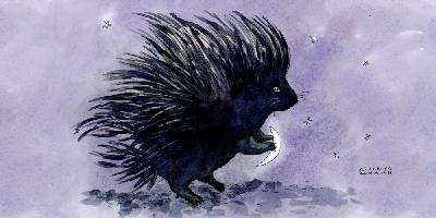 Porcupine’s Plan feat. Jacob Laval Porcupine’s Plan feat. Jacob Laval