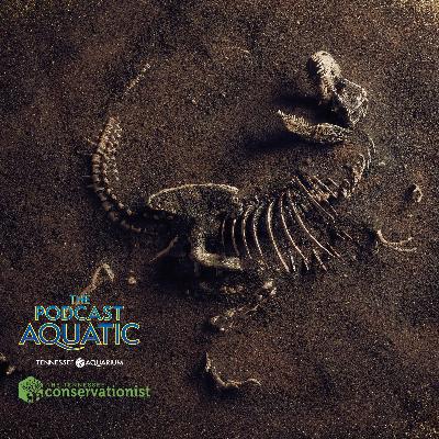 Mic Droplet: Is Extinction Provable?