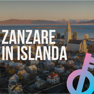 Ora anche in Islanda ci sono le zanzare Ora anche in Islanda ci sono le zanzare