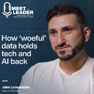 'Woeful' data can hold tech and AI back: What's needed to save lives, prevent catastrophes: Gecko Robotics