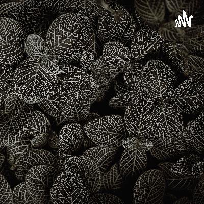 دعوى الزيارة وأنواعها