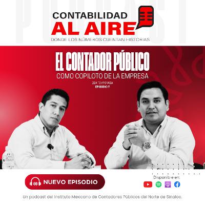 El contador público como copiloto de la empresa