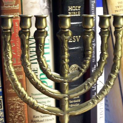 The Commandments - Exodus/Shemot 7:7-8:19 - Va'eira Pt 2