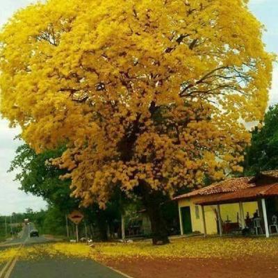 Apure en un Viaje Parte 2