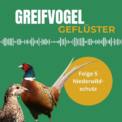 Niederwildschutz: Warum Rebhühner und Fasane unsere Aufmerksamkeit verdienen