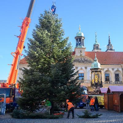 Bislang keine Genehmigung für Weihnachtsmarkt in Magdeburg