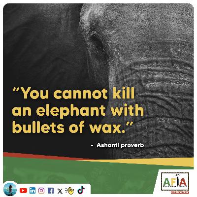 You Can’t Kill an Elephant with Bullets of Wax | AFIAPodcast You Can’t Kill an Elephant with Bullets of Wax | AFIAPodcast