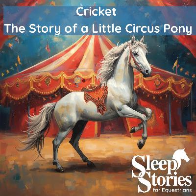 Pt. 2 Cricket the Story of a Little Circus Pony by Berta & Emler Hader - Sleep Stories for Equestrians