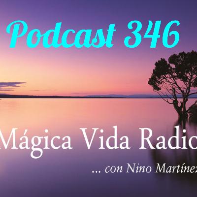 MV 346, "Manifiesto en defensa de los grandes cetáceos". Pedro Pozas MV 346, "Manifiesto en defensa de los grandes cetáceos". Pedro Pozas