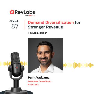 Demand Diversification for Stronger Revenue ft. Punit Vadgama