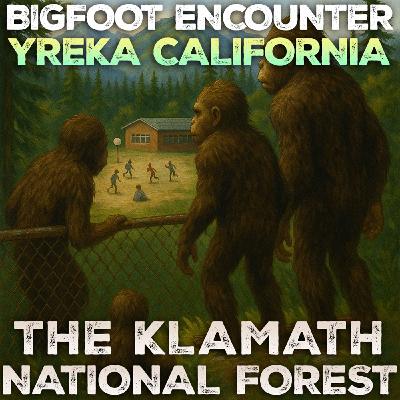 BIGFOOT ENCOUNTER IN YREKA CALIFORNIA (THE KLAMATH NATIONAL FOREST) THREE CREATURES WATCHING US PLAY BIGFOOT ENCOUNTER IN YREKA CALIFORNIA (THE KLAMATH NATIONAL FOREST) THREE CREATURES WATCHING US PLAY