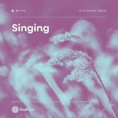 Episode 11.17 - Singing