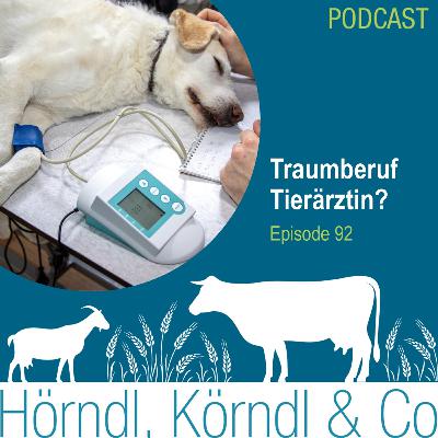 Episode 92: Traumberuf Tierärztin?