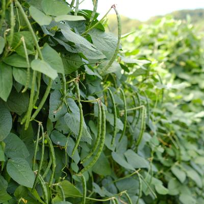 第74回　守破離と空間